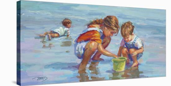 Low Tide-Lucelle Raad-Stretched Canvas