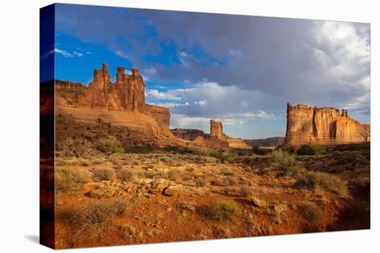 Lower Arches Road. Utah, USA.-Tom Norring-Premier Image Canvas