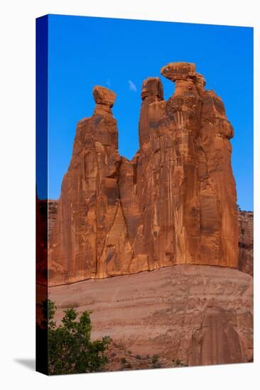 Lower Arches Road. Utah, USA.-Tom Norring-Premier Image Canvas