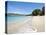 Lower Bay, Bequia, St. Vincent and the Grenadines, Windward Islands, West Indies, Caribbean-Michael DeFreitas-Premier Image Canvas