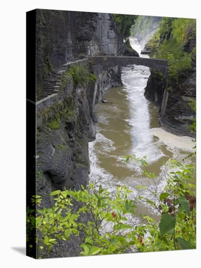 Lower Falls in Letchworth State Park, Rochester, New York State, USA-Richard Cummins-Premier Image Canvas