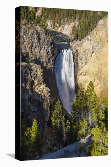 Lower Falls, Yellowstone River, Yellowstone National Park, Wyoming, United States of America-Gary Cook-Premier Image Canvas