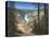 Lower Falls - Yellowstone-Robert Wavra-Premier Image Canvas