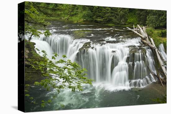 Lower Lewis Falls, Lewis River, Cougar, Washington, Usa-Michel Hersen-Premier Image Canvas