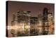 Lower Manhattan Skyline at Night from Brooklyn, New York City-Zigi-Premier Image Canvas