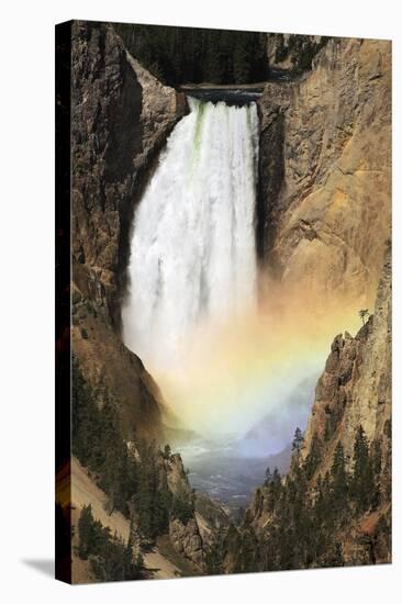 Lower Yellowstone Falls And Spray Rainbow-Paul Stewart-Premier Image Canvas