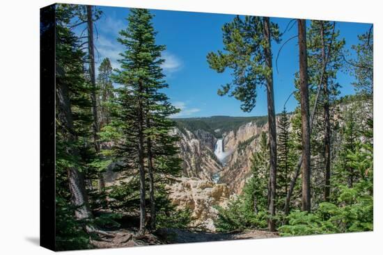 Lower Yellowstone Falls, Grand Canyon of the Yellowstone, Yellowstone National Park, Wyoming, USA-Roddy Scheer-Premier Image Canvas