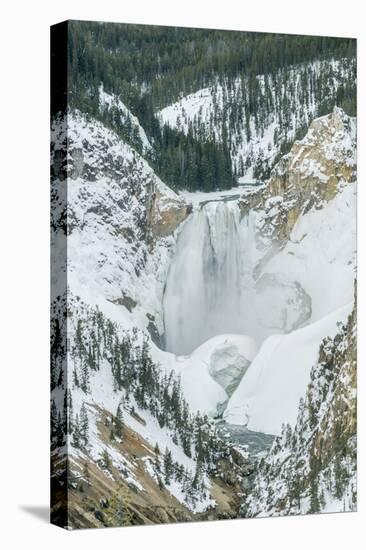 Lower Yellowstone Falls-Rob Tilley-Premier Image Canvas