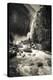 Lower Yosemite Falls, Yosemite National Park-Russ Bishop-Premier Image Canvas