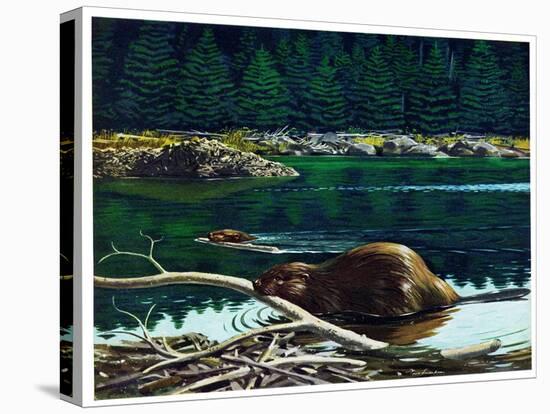 Lowland Beaver-Fred Ludekens-Premier Image Canvas