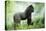 Lowland Gorilla Male Silverback-null-Premier Image Canvas