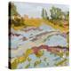 Lowland River I-Jacob Green-Stretched Canvas