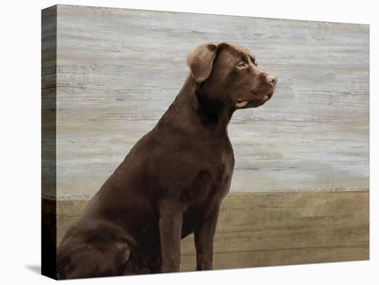 Loyal Labrador-Mark Chandon-Stretched Canvas