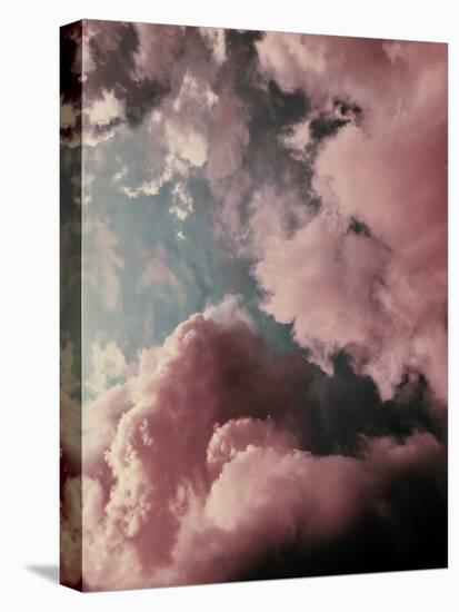 Lucy in the Sky-Design Fabrikken-Premier Image Canvas