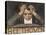 Ludwig Van Beethoven Beethoven Struggles with His Inner Demons as He Composes His 9th Symphony-null-Premier Image Canvas
