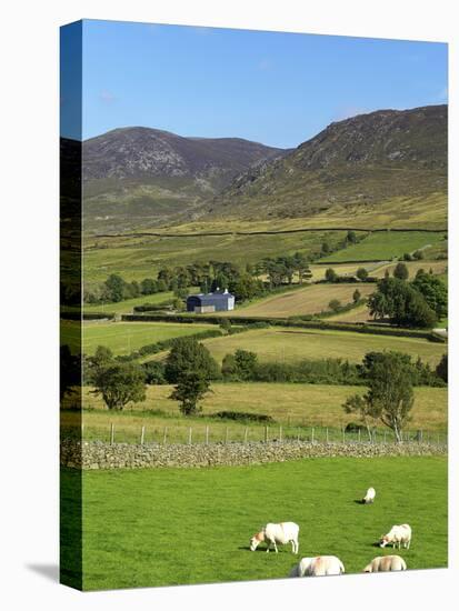 Luke's Mountain, Mourne Mountains, County Down, Ulster, Northern Ireland, United Kingdom, Europe-Jeremy Lightfoot-Premier Image Canvas