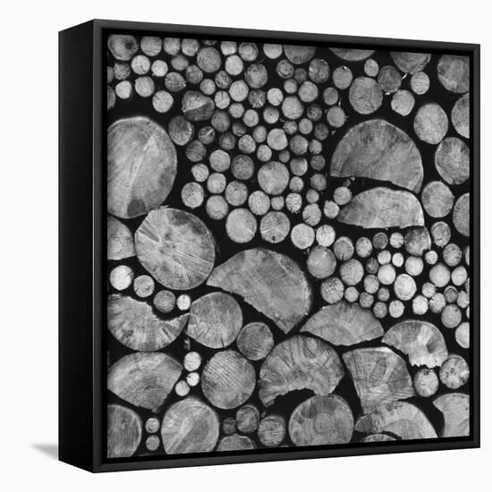 Lumber-Brett Weston-Stretched Canvas