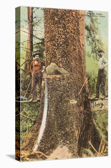 Lumberjacks Felling Cedar, Washington-null-Stretched Canvas