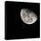 Lunar Craters-Brenda Petrella Photography LLC-Premier Image Canvas