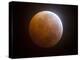 Lunar Eclipse-Stocktrek Images-Premier Image Canvas