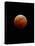 Lunar Eclipse-Alan Diaz-Premier Image Canvas