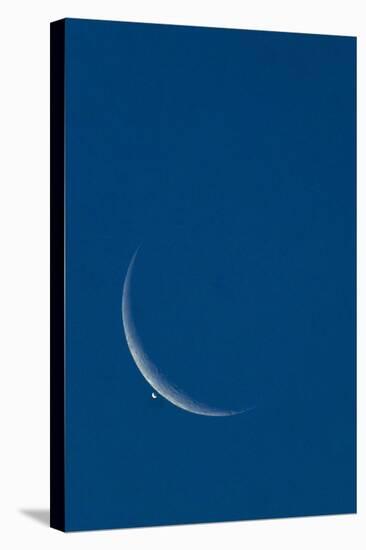 Lunar Occultation of Venus-David Nunuk-Premier Image Canvas