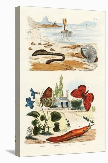 Lungworm, 1833-39-null-Premier Image Canvas