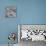 Lupin Dew I B&W-Adam Brock-Stretched Canvas displayed on a wall