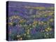 Lupine and Balsamroot on Hillsides, Dulles, Washington, USA-Darrell Gulin-Premier Image Canvas