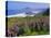 Lupine Flowers and Rugged Coastline along Southern Oregon, USA-Adam Jones-Premier Image Canvas