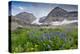 Lupine, Lupinus, Mount Timpanogos. Uinta-Wasatch-Cache Nf-Howie Garber-Premier Image Canvas