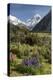 Lupins and Mount Cook, Mount Cook Village, Mount Cook National Park-Stuart Black-Premier Image Canvas