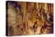 Luray Caverns, Virginia-RR-Premier Image Canvas