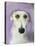 Lurcher-Sally Muir-Premier Image Canvas