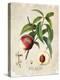 Luscious Fruit Study B-Jean Plout-Premier Image Canvas