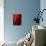 Luscious Red-Ruth Palmer 2-Stretched Canvas displayed on a wall