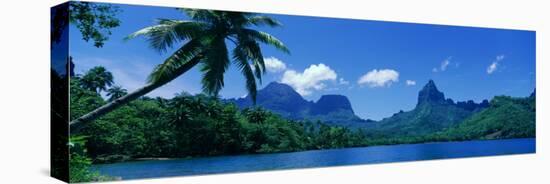 Lush Foliage and Rock Formations, Moorea Island, Tahiti-null-Premier Image Canvas