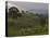 Lush Green Landscape between Bonga and Mizan Teferi, Ethiopia-Janis Miglavs-Premier Image Canvas