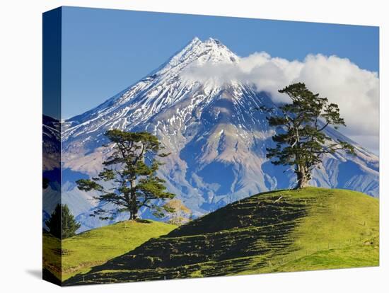 Lush hills in front of Mount Egmont-Jami Tarris-Premier Image Canvas