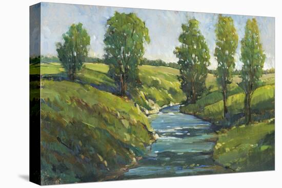 Lush Landscape III-Tim OToole-Stretched Canvas