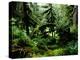 Lush rain forest bordering Prince William Sound-Werner Forman-Premier Image Canvas