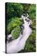 Lush Spring Creek, Columbia River Gorge, Oregon-Vincent James-Premier Image Canvas