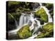 Lush Waterfall, Olympic National Park, Washington, USA-Tom Norring-Premier Image Canvas