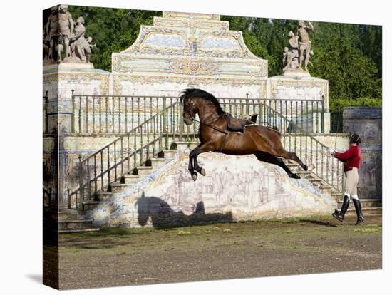 Lusitano Horse, Man Training Stallion In Dressage Steps, The High Leap-Carol Walker-Premier Image Canvas