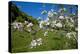 Luxembourg, Ansembourg, Castle Garden, Apple Tree Blossom, Spring-Chris Seba-Premier Image Canvas