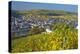 Luxembourg, Remich, Townscape, Vineyards, Autumn Colours-Chris Seba-Premier Image Canvas