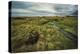 Luxuriant Landscape-Andrew Geiger-Stretched Canvas