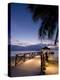 Luxury Resort, Malolo Island, Mamanuca Group, Fiji-Michele Falzone-Premier Image Canvas