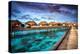 Luxury Resort, Many Cute Bungalow on the Water, Amazing View, Beautiful Coral under Transparent Wat-Anna Omelchenko-Premier Image Canvas