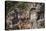 Lycian tombs, Dalyan, Mugla Province, Anatolia, Turkey, Asia Minor, Eurasia-Matthew Williams-Ellis-Premier Image Canvas